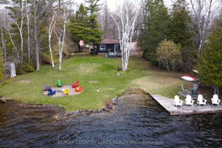 Property for Sale, 31 Hillcrest Ave, Kawartha Lakes, ON