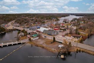 Land for Sale, 6672 Highway 35 Hwy, Kawartha Lakes, ON