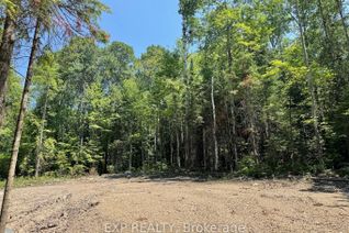 Vacant Residential Land for Sale, Lot 8 Lakewoods Dr, Madawaska Valley, ON