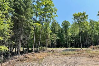 Vacant Residential Land for Sale, Lot 14 Lakewoods Dr, Madawaska Valley, ON