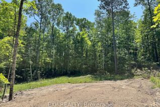Vacant Residential Land for Sale, Lot 16 Lakewoods Dr, Madawaska Valley, ON