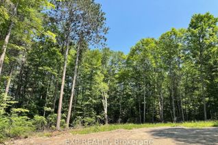 Vacant Residential Land for Sale, Lot 17 Lakewoods Dr, Madawaska Valley, ON