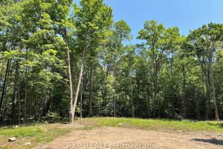 Vacant Residential Land for Sale, Lot 21 Lakewoods Dr, Madawaska Valley, ON