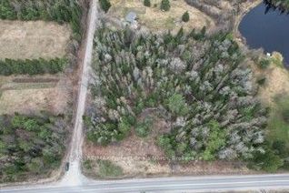 Vacant Residential Land for Sale, 3025 Gelert Rd, Minden Hills, ON