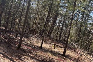 Property for Sale, 0 Kirkpatrick Ln, Bracebridge, ON