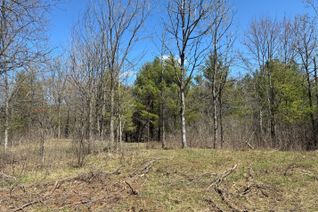 Property for Sale, Lot 4 Leveque Rd, South Frontenac, ON Property for Sale, Lot 4 Leveque Rd, South Frontenac, ON
