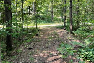 Land for Sale, 000 Green Place Rd, Gravenhurst, ON