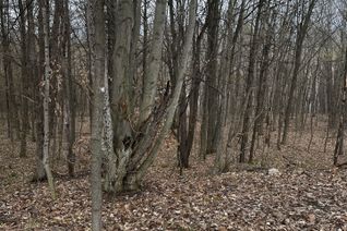 Vacant Residential Land for Sale, 224 Church St, Penetanguishene, ON