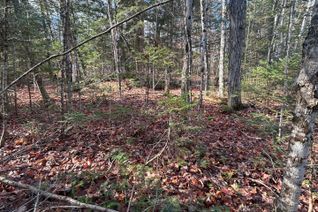 Land for Sale, 0 Mill Lake Rd, North Kawartha, ON Land for Sale, 0 Mill Lake Rd, North Kawartha, ON
