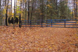 Property for Sale, 21 PT LT CON 10 GALWAY PT 1 45R2755; Cains Ln #KINMOUNT, Trent Lakes, ON
