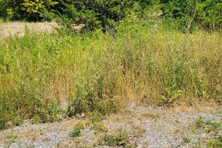 Vacant Residential Land for Sale, 66 Dorland Dr, Greater Napanee, ON