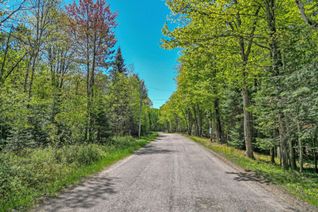 Vacant Residential Land for Sale, 989 North Waseosa Lake Rd, Huntsville, ON