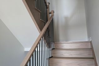 Freehold Townhouse for Rent, 30 Twinflower Way, Brampton, ON Freehold Townhouse for Rent, 30 Twinflower Way, Brampton, ON