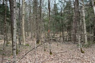 Vacant Residential Land for Sale, Lot 1 Loch Erne Rd, McDougall, ON