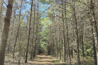Land for Sale, 2825 Perry Ave, Ramara, ON