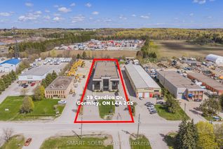 Property for Lease, 39 Cardico Dr #Ground, Whitchurch-Stouffville, ON