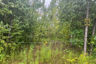 Land for Sale, Lot 38 Sumcot Dr, Trent Lakes, ON