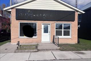 Commercial/Retail Property for Sale, 22886 HAGERTY Rd, Newbury, ON