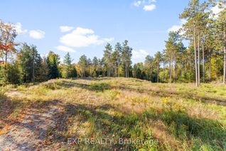 Property for Sale, 413 Swamp Rd, Admaston/Bromley, ON