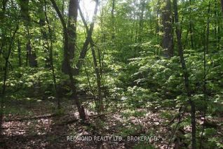 Vacant Residential Land for Sale, 2402 46 Rd, Elizabethtown-Kitley, ON