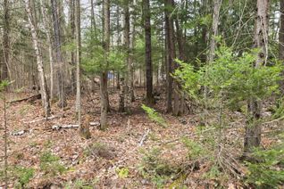 Land for Sale, 149 Pine Lake Rd, Bonfield, ON Land for Sale, 149 Pine Lake Rd, Bonfield, ON