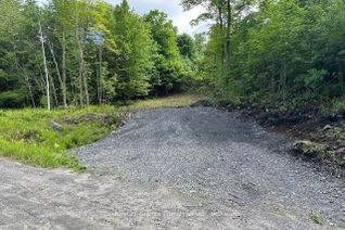 Land for Sale, 4 McNaughts Rd, Seguin, ON