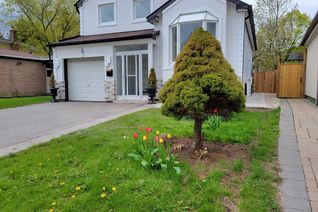 Backsplit for Rent, 15 Springhead Gdns #Basement, Richmond Hill, ON
