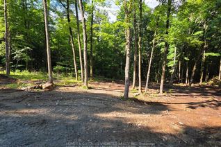 Property for Sale, 2456 CONC DALHOUSIE Concession, Lanark Highlands, ON Property for Sale, 2456 CONC DALHOUSIE Concession, Lanark Highlands, ON