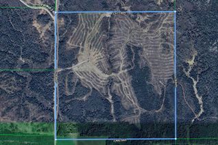 Property for Sale, N/A N/A Rd, Englehart, ON