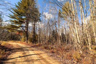 Property for Sale, 0 Weismuller Ln, Bracebridge, ON Property for Sale, 0 Weismuller Ln, Bracebridge, ON