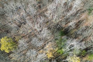 Land for Sale, 7 Rice Ln, Huntsville, ON