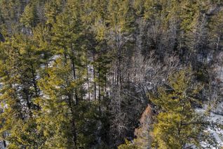 Land for Sale, 00 Pineview Ct, Marmora and Lake, ON Land for Sale, 00 Pineview Ct, Marmora and Lake, ON