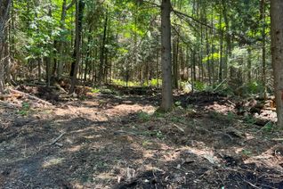 Land for Sale, LOT 29 WEST Ct, Dysart et al, ON