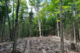 Land for Sale, LOT 26 WEST Ct, Dysart et al, ON