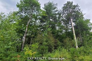 Property for Sale, 20 Peplinskie Homestead Rd, Madawaska Valley, ON Property for Sale, 20 Peplinskie Homestead Rd, Madawaska Valley, ON