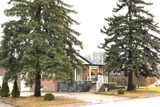House for Rent, 385 Marybay Cres #Basement, Richmond Hill, ON