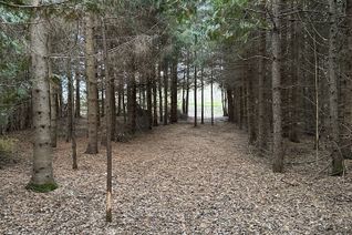 Land for Sale, Pt Lt 3 Con 7 N/A, Amaranth, ON Land for Sale, Pt Lt 3 Con 7 N/A, Amaranth, ON