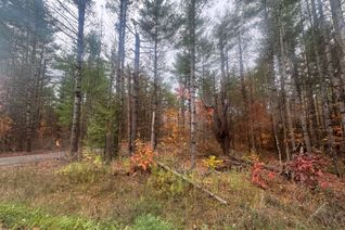 Land for Sale, 945 Shanick Rd, Marmora and Lake, ON