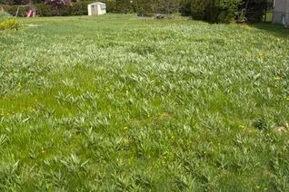 Land for Sale, 0000 Bruce St, South Stormont, ON