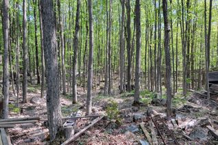 Land for Sale, Lot 15 James St, Tweed, ON Land for Sale, Lot 15 James St, Tweed, ON