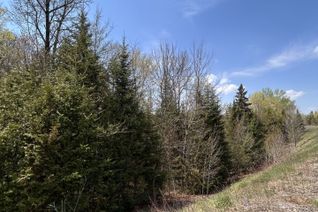 Vacant Residential Land for Sale, 0 Highway 118 N/A, Faraday, ON