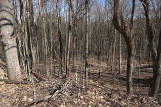 Vacant Residential Land for Sale, 0 SOUTH MUSKOKA Dr, Bracebridge, ON Vacant Residential Land for Sale, 0 SOUTH MUSKOKA Dr, Bracebridge, ON