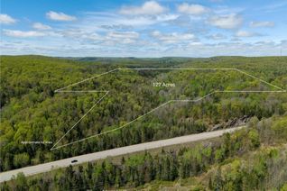 Property for Sale, 0 Highway 62 N Hwy, Hastings Highlands, ON