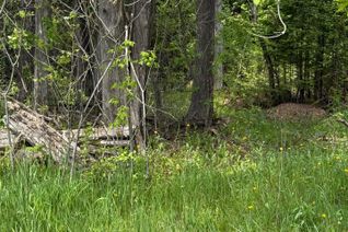 Property for Sale, 00 Concession Rd 11 E. N/A, Trent Hills, ON