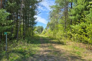 Land for Sale, 127 Lloyd St E, Addington Highlands, ON