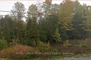 Property for Sale, 18362 Highway 62 N/A, Tudor & Cashel, ON