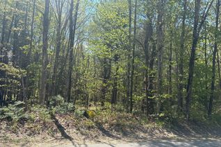 Vacant Residential Land for Sale, 429 Britannia Rd, Huntsville, ON Vacant Residential Land for Sale, 429 Britannia Rd, Huntsville, ON