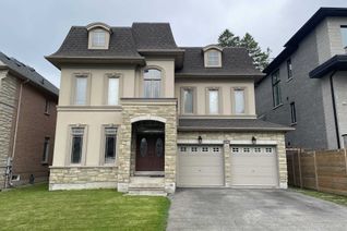 Property for Rent, 110A Bond Cres #Lower, Richmond Hill, ON Property for Rent, 110A Bond Cres #Lower, Richmond Hill, ON