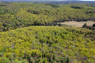 Vacant Residential Land for Sale, PT LT 26 CON 17 CARDIFF HWY #648 (Loop) Rd, Highlands East, ON