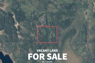 Land for Sale, PCL 14565 1/2 LT 2 CON 2 BOWMAN N/A, Black River-Matheson, ON Land for Sale, PCL 14565 1/2 LT 2 CON 2 BOWMAN N/A, Black River-Matheson, ON